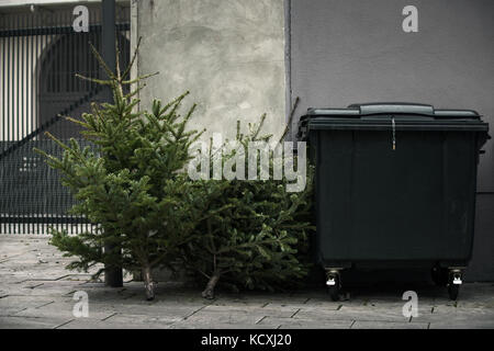 Deux vieux sapins de Noël jetés à côté d'une poubelle Banque D'Images