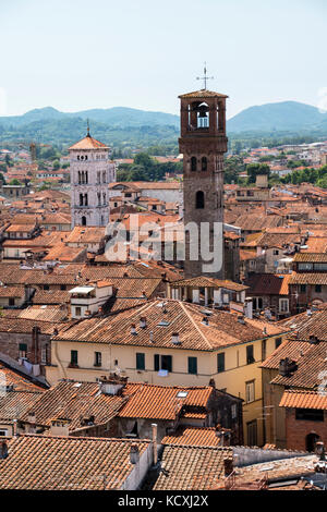 Vue sur les toits, des bâtiments, des pylônes et des montagnes de Lucca, toscane, italie à partir de la tour Guinigi sur une belle journée ensoleillée Banque D'Images