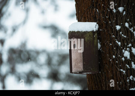 Nichoir suspendu à un arbre en hiver avec de la neige Banque D'Images