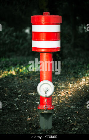 D'INCENDIE rouge blanc de bandes dans la nature Banque D'Images