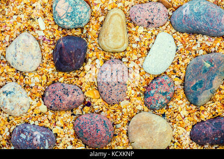 Résumé fond naturel. Galets sur coquilles de coquina Banque D'Images