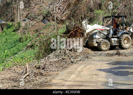 Javier Somera, un entrepreneur local par le U.S. Army Corps of Engineers, élimine les débris sur une route principale dans la région de Utuado, Puerto Rico, le 7 octobre 2017. Le ministère de la défense et de l'appui de l'Agence fédérale de gestion des urgences Le gouvernement de Porto Rico par la fourniture de secours en cas de catastrophe pour la population et les zones touchées par l'Ouragan Maria. (U.S. Photo de l'armée par Pvt. Alleea Oliver) Banque D'Images