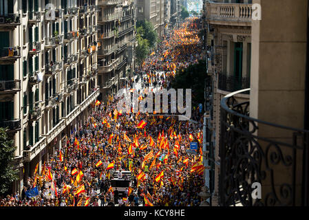 Barcelone, Espagne. 8 octobre 2017. Des milliers de personnes protestent avec des drapeaux catalans et espagnols contre le mouvement indépendantiste et les plans speraratistes du gouvernement régional à Barcelone, Espagne, le 8 octobre 2017. Crédit : Nicolas Carvalho Ochoa/dpa/Alamy Live News Banque D'Images