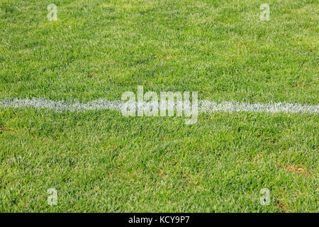 Vue de dessus de bande horizontale blanche sur le terrain de football artificiel. gazon artificiel. Banque D'Images