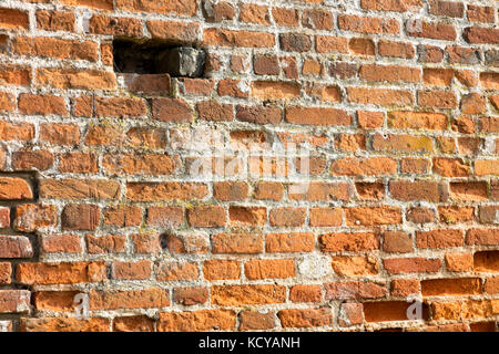 Détail du mur de briques sur une grange historique dans horsey, Norfolk, uk Banque D'Images