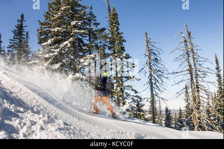 Snowboarder ride sur poudreuse dans les montagnes. Les sports d'hiver le freeride. Banque D'Images