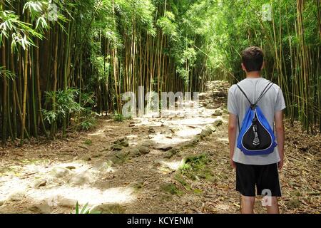 Jeune homme entrant dans la forêt de bambou sur l'Pipiwai trail de Waimoku falls, Maui Banque D'Images