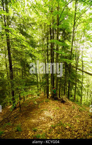 Groupe d'amoureux de la montagne les randonnées de montagnes grohotis sur sentiers non balisés et à travers une forêt, une partie de nature sauvage. Banque D'Images