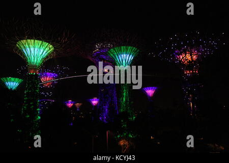Singapour a supertrees lumière dans les jardins de la baie Banque D'Images
