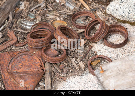 Couvercles de bocaux de conserve rouillée, de clous et de verre brisé dans un ancien camp minier dans les montagnes de l'oregon wallowa. Banque D'Images