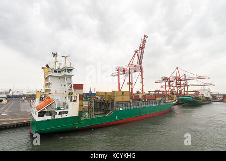 Deux grands navires porte-conteneurs d'être chargé de l'expédition des conteneurs au docks de Dublin. Banque D'Images