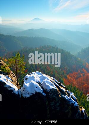 Bonsai sauvages sur pin de rochers de grès, nuages gris en arrière-plan. bleu et brumeux matin sur le point de vue de grès dans le parc national. Banque D'Images