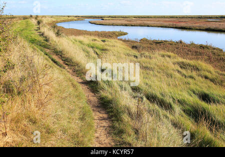 Paysage à marée haute Barthorp's Creek, Hollesley Bay, près de la rue du bardeau, Suffolk, Angleterre, RU Banque D'Images