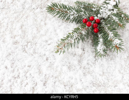 Sapin de noël avec des baies de houx rouge des rameaux couverts de flocons et fixant sur la neige. Banque D'Images
