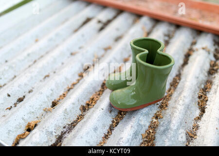 Pot de fleurs mini bottes wellington semoir sur des étagères en carton ondulé d'argent dans une maison verte ou rempotage Banque D'Images