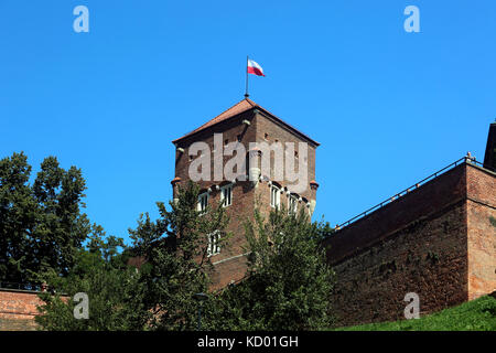 Le château royal de Wawel à Cracovie, Pologne. Banque D'Images