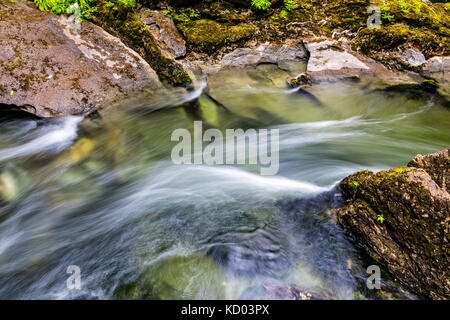 Atluck creek coupant à travers la création de calcaire en fonte huson pont naturel caverne dans peu d'huson grotte parc régional, nord de l'île de Vancouver, Colombie-Britannique, Canada Banque D'Images