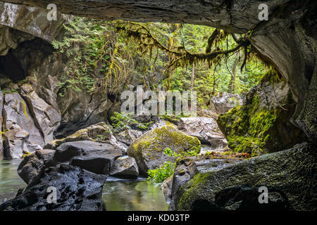 Atluck creek coupant à travers la création de calcaire en fonte huson pont naturel caverne dans peu d'huson grotte parc régional, nord de l'île de Vancouver, Colombie-Britannique, Canada Banque D'Images