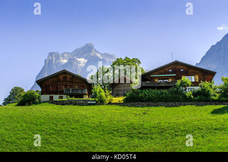 Chalets dans les Alpes par un beau jour dans l'été. Grindelwald, Oberland Bernois, Suisse Banque D'Images