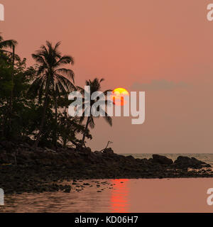 Silhouette de palmiers au coucher du soleil, la Thaïlande Banque D'Images