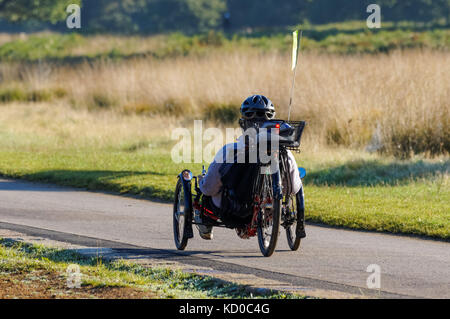 Un homme sur un vélo couché tricycle à Richmond Park, Londres Angleterre Royaume-Uni UK Banque D'Images