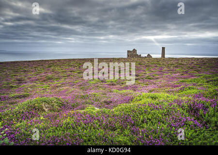 Papule Coates mine dans St Agnes Cornwall Banque D'Images