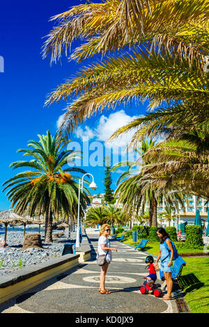 Promenade. santa cruz. Madeira, Portugal, Europa. Banque D'Images