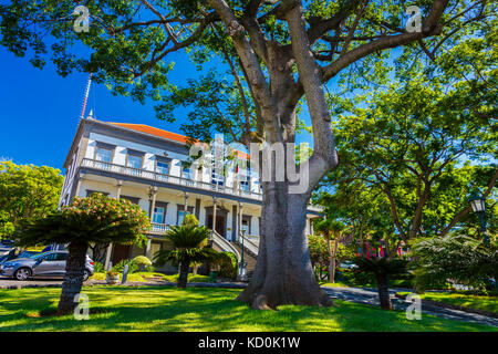 L'hôtel de ville et arbre. Banque D'Images