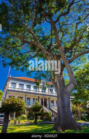 L'hôtel de ville et arbre. Banque D'Images