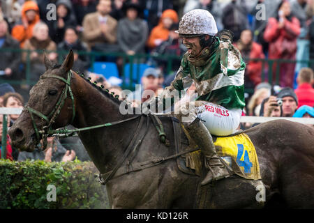 Cheval jockey josef kratochvil avec pas de temps à perdre célèbre après l'obtention de la 127e grand steeple-chase de Pardubice à Pardubice, République tchèque, le 8 octobre 2017. huit ans bay horse pas de temps à perdre avec jockey tchèque Jan kratochvil a gagné 127e grand steeple-chase de Pardubice, course urgente de surmonter avec gregaine jockey français felix de Giles dans la dernière partie du cours avant la ligne d'arrivée.Le 26-year-old kratochvil a remporté la course pour la première fois, de même que de ne pas perdre de temps. leur coach était légendaire Josef vana senior, 64 ans, qui a remporté la course annuelle 8 fois comme un jockey. (Ctk photo/dav Banque D'Images