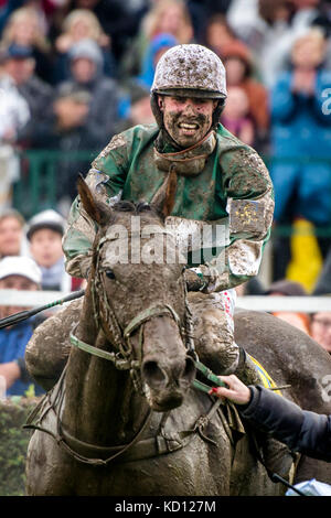 Cheval jockey josef kratochvil avec pas de temps à perdre célèbre après l'obtention de la 127e grand steeple-chase de Pardubice à Pardubice, République tchèque, le 8 octobre 2017. huit ans bay horse pas de temps à perdre avec jockey tchèque Jan kratochvil a gagné 127e grand steeple-chase de Pardubice, course urgente de surmonter avec gregaine jockey français felix de Giles dans la dernière partie du cours avant la ligne d'arrivée.Le 26-year-old kratochvil a remporté la course pour la première fois, de même que de ne pas perdre de temps. leur coach était légendaire Josef vana senior, 64 ans, qui a remporté la course annuelle 8 fois comme un jockey. (Ctk photo/dav Banque D'Images