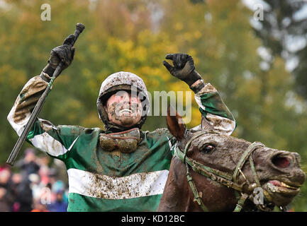 Cheval jockey josef kratochvil avec pas de temps à perdre célèbre après l'obtention de la 127e grand steeple-chase de Pardubice à Pardubice, République tchèque, le 8 octobre 2017. huit ans bay horse pas de temps à perdre avec jockey tchèque Jan kratochvil a gagné 127e grand steeple-chase de Pardubice, course urgente de surmonter avec gregaine jockey français felix de Giles dans la dernière partie du cours avant la ligne d'arrivée.Le 26-year-old kratochvil a remporté la course pour la première fois, de même que de ne pas perdre de temps. leur coach était légendaire Josef vana senior, 64 ans, qui a remporté la course annuelle 8 fois comme un jockey. (Ctk photo/rom Banque D'Images