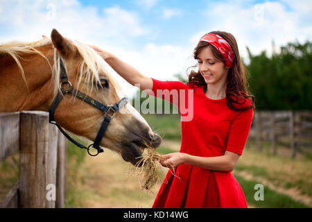 Young smiling girl caressa son cheval, amitié Banque D'Images