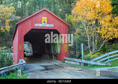 Pont couvert de Point Wolfe, le parc national de Fundy, Nouveau-Brunswick, Canada Banque D'Images