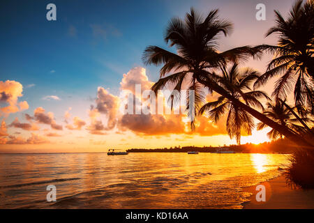 Palmtree silhouettes sur la plage tropicale, République dominicaine Banque D'Images