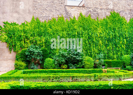 Beau jardin dans l'Hôtel de Sully. L'Hôtel de Sully est un manoir privé de style Louis XIII situé dans le quartier du Marais à Paris. Banque D'Images