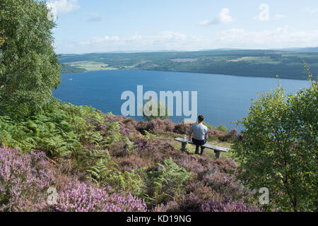 Walker se reposant dans Abriachan Woods Surplombant le Loch Ness près de Drumnacrochit par l'Ecosse. Banque D'Images