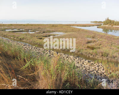 Vue d'ensemble sur l'saltmarsh autour de Lio Piccolo, près de Venise Banque D'Images