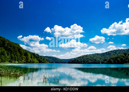 La réflexion dans les lacs de Plitvice en Croatie Banque D'Images