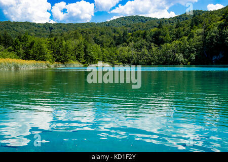 La réflexion dans les lacs de Plitvice en Croatie Banque D'Images