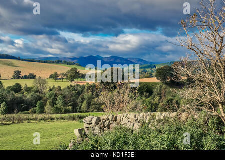 L'ECOSSE sur les murs en pierre sèche les champs et les montagnes. Le mur de pierre arbres et champs de perthshire avec les montagnes au loin. Banque D'Images