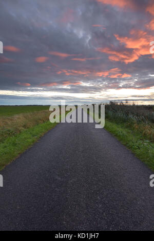 Une longue route en ligne droite menant à la distance sur le Lincolnshire fens au coucher du soleil le soir. Banque D'Images