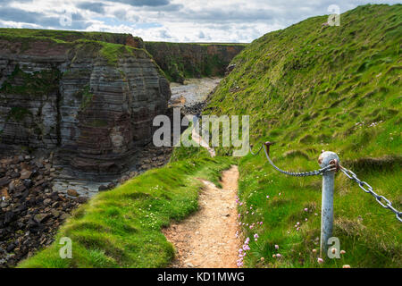 Le sentier, avec une main courante de chaîne, sur le brough de Deerness, près de Mull Head, Deerness, Orkney Mainland, Écosse, Royaume-Uni Banque D'Images