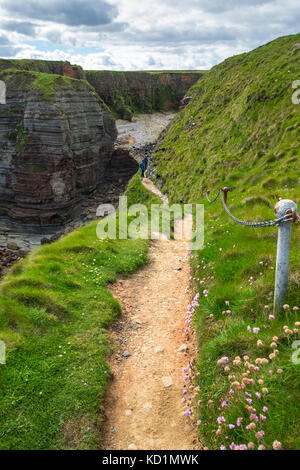 Le sentier, avec une main courante de chaîne, sur le brough de Deerness, près de Mull Head, Deerness, Orkney Mainland, Écosse, Royaume-Uni Banque D'Images