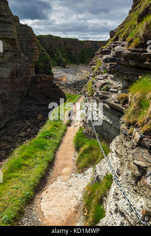 Le sentier, avec une main courante de chaîne, sur le brough de Deerness, près de Mull Head, Deerness, Orkney Mainland, Écosse, Royaume-Uni Banque D'Images