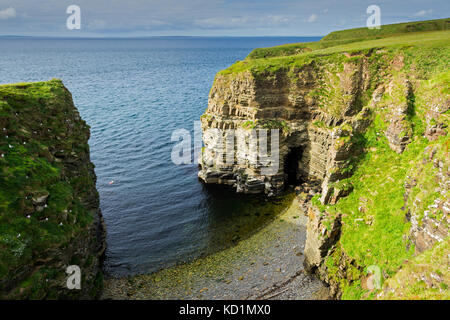 Falaises à Mull Head, Deerness, Orkney Mainland, Écosse, Royaume-Uni Banque D'Images