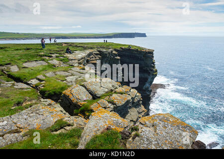 Marwick Head de la tête Brough sur le Brough de Birsay, Orkney, Écosse, Royaume-Uni. Banque D'Images