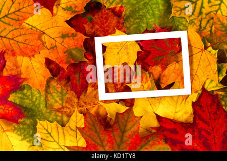 Mise en page créative faite de feuilles automne coloré d'automne avec cadre blanc. Banque D'Images