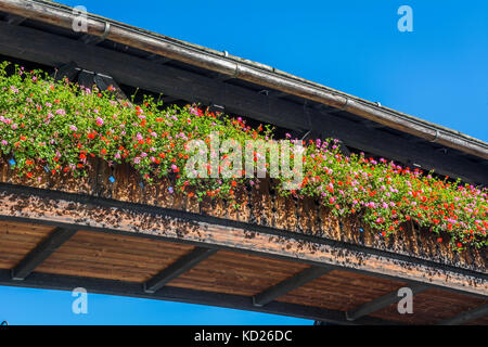 Brasserie Forst, Lagundo près de Merano, Région du Sud, l'Italie, l'Europe Tyrol-Bolzano Banque D'Images