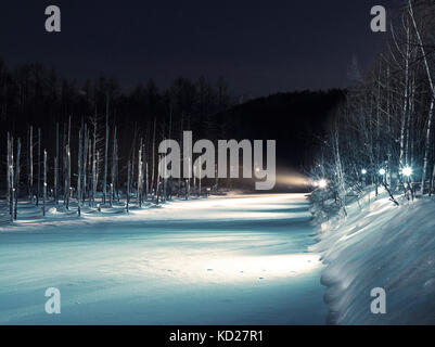 Illumination nocturne à Blue Pond (Aoiike) dans le district de Kamikawa, Biei, Hokkaido, Japon, en hiver Banque D'Images